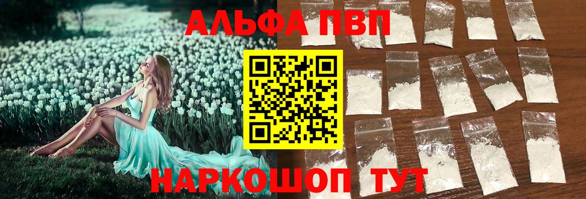 Альфа ПВП СК Братск