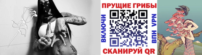 Псилоцибиновые грибы мицелий Братск