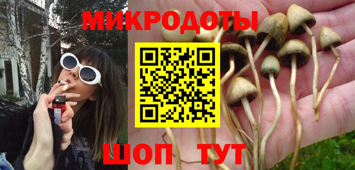 Галлюциногенные грибы Psilocybe  как найти закладки  Братск  Галлюциногенные грибы мухоморы  Вход с VPN 