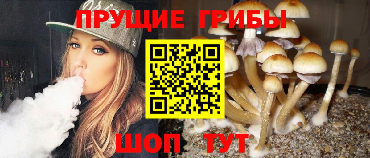 Псилоцибиновые грибы Magic Shrooms Братск