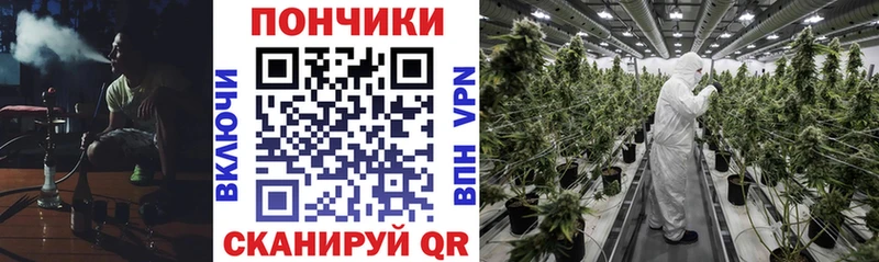 цены   Братск  Шишки марихуана семена 